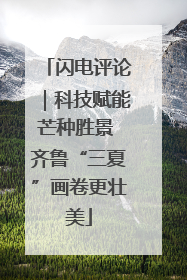 闪电评论｜科技赋能芒种胜景 齐鲁“三夏”画卷更壮美