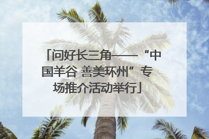 问好长三角——“中国羊谷 善美环州”专场推介活动举行