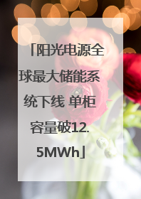 阳光电源全球最大储能系统下线 单柜容量破12.5MWh