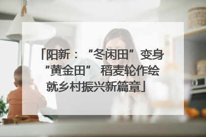 阳新：“冬闲田”变身“黄金田” 稻麦轮作绘就乡村振兴新篇章