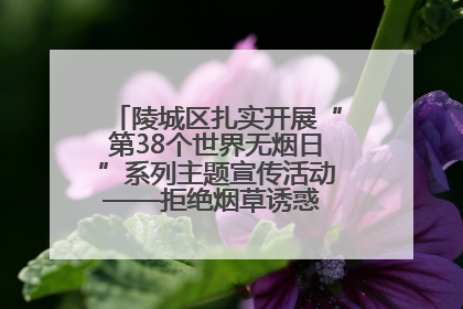 陵城区扎实开展“第38个世界无烟日”系列主题宣传活动——拒绝烟草诱惑 对第一支烟说不