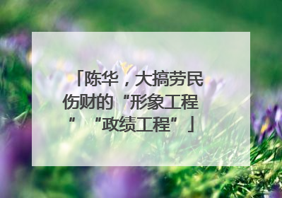 陈华，大搞劳民伤财的“形象工程”“政绩工程”