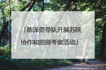 陈泽勇带队开展苏陕协作和招商考察活动