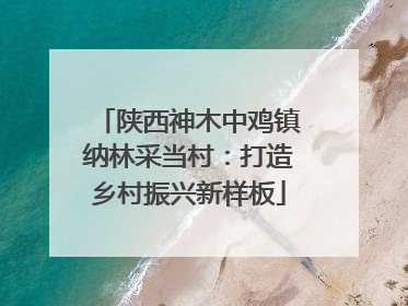 陕西神木中鸡镇纳林采当村：打造乡村振兴新样板