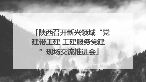陕西召开新兴领域“党建带工建 工建服务党建”现场交流推进会