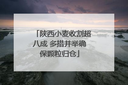 陕西小麦收割超八成 多措并举确保颗粒归仓