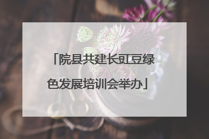 院县共建长豇豆绿色发展培训会举办