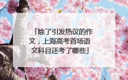 除了引发热议的作文，上海高考首场语文科目还考了哪些