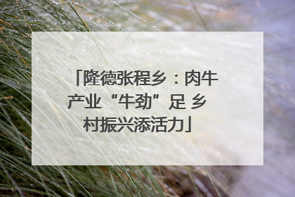 隆德张程乡：肉牛产业“牛劲”足 乡村振兴添活力