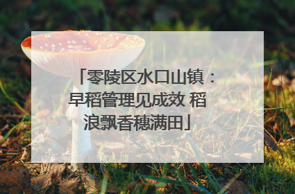 零陵区水口山镇：早稻管理见成效 稻浪飘香穗满田
