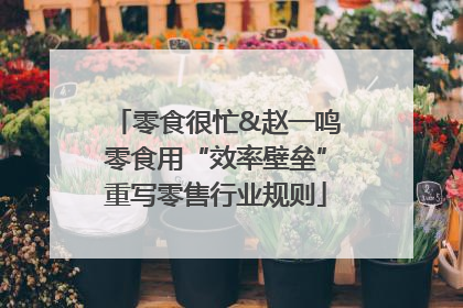 零食很忙&赵一鸣零食用“效率壁垒”重写零售行业规则