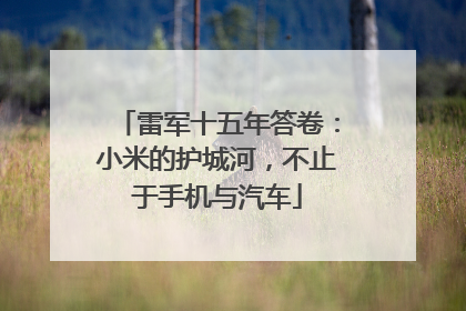 雷军十五年答卷：小米的护城河，不止于手机与汽车