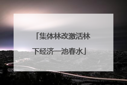 集体林改激活林下经济一池春水