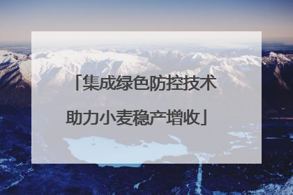 集成绿色防控技术助力小麦稳产增收