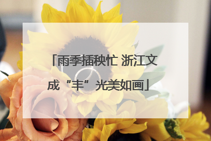 雨季插秧忙 浙江文成“丰”光美如画