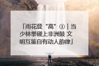 雨花登“高”③｜当少林拳碰上非洲鼓 文明互鉴自有动人韵律