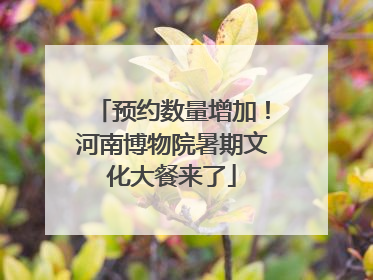 预约数量增加！河南博物院暑期文化大餐来了
