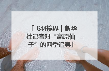 飞羽镜界｜新华社记者对“高原仙子”的四季追寻