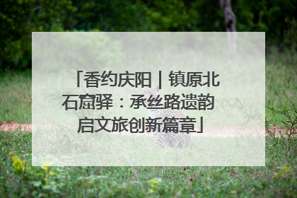 香约庆阳｜镇原北石窟驿：承丝路遗韵 启文旅创新篇章