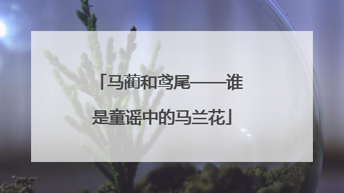 马蔺和鸢尾——谁是童谣中的马兰花