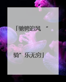 驰骋追风 “骑”乐无穷