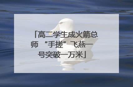 高二学生成火箭总师 “手搓”飞燕一号突破一万米