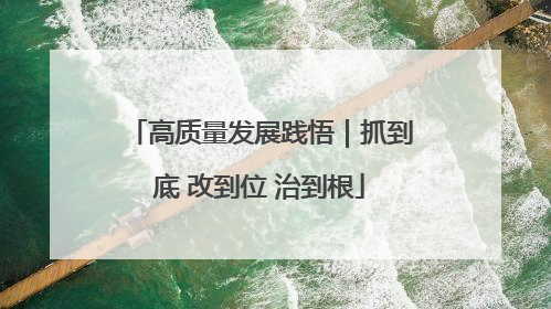 高质量发展践悟｜抓到底 改到位 治到根