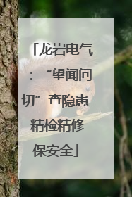 龙岩电气：“望闻问切”查隐患 精检精修保安全