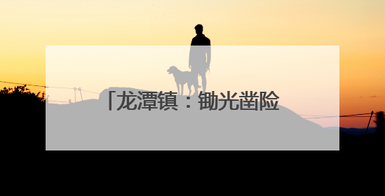 龙潭镇：锄光凿险隘 昼色护安澜 干群同心战汛魔