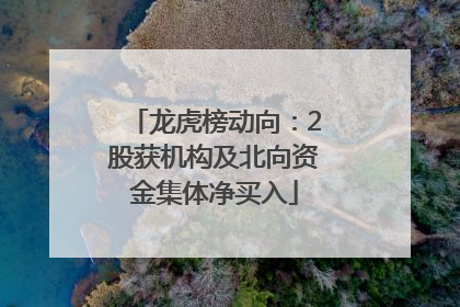 龙虎榜动向：2股获机构及北向资金集体净买入