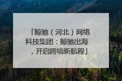鲸驰（河北）网络科技集团：鲸驰出海，开启跨境新航程
