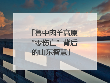 鲁中肉羊高原“零伤亡”背后的山东智慧