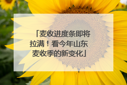 麦收进度条即将拉满！看今年山东麦收季的新变化