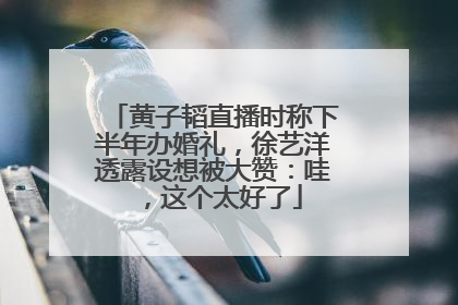 黄子韬直播时称下半年办婚礼，徐艺洋透露设想被大赞：哇，这个太好了