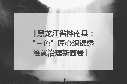 黑龙江省桦南县：“三色”匠心织锦绣 绘就治理新画卷