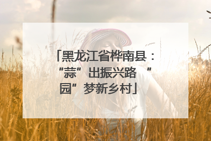 黑龙江省桦南县：“蒜”出振兴路 “园”梦新乡村