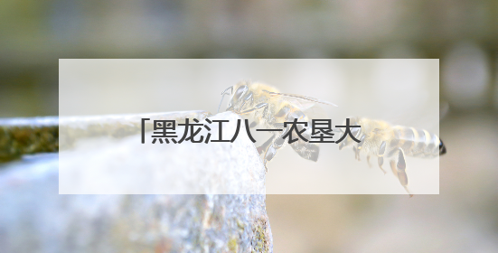 黑龙江八一农垦大学师生走进民族村开展主题实践教学