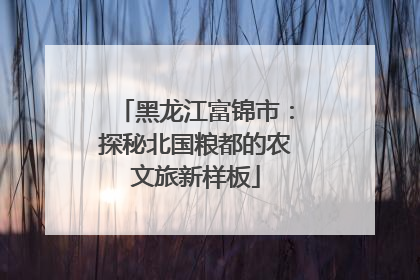 黑龙江富锦市：探秘北国粮都的农文旅新样板