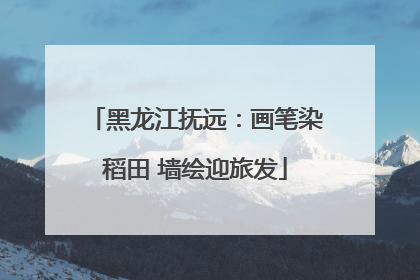 黑龙江抚远：画笔染稻田 墙绘迎旅发