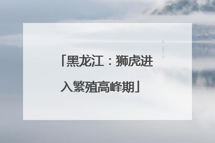 黑龙江：狮虎进入繁殖高峰期