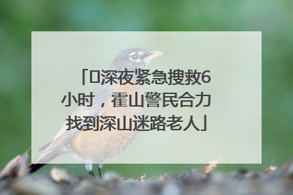 ﻿深夜紧急搜救6小时，霍山警民合力找到深山迷路老人