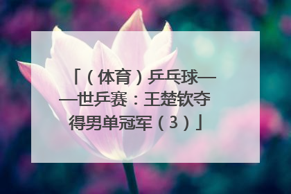 （体育）乒乓球——世乒赛：王楚钦夺得男单冠军（3）