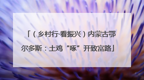 （乡村行·看振兴）内蒙古鄂尔多斯：土鸡“啄”开致富路