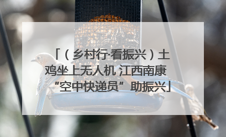 （乡村行·看振兴）土鸡坐上无人机 江西南康“空中快递员”助振兴