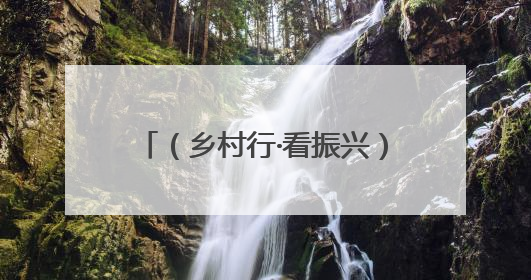 （乡村行·看振兴）江西信丰一片茶叶“沏”出乡村振兴路