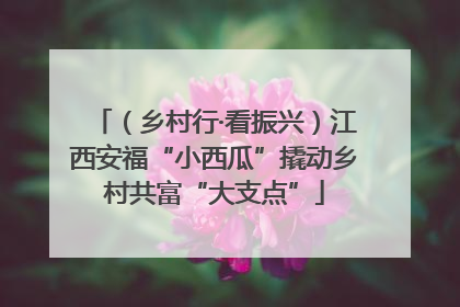 （乡村行·看振兴）江西安福“小西瓜”撬动乡村共富“大支点”