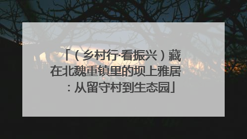 （乡村行·看振兴）藏在北魏重镇里的坝上雅居：从留守村到生态园