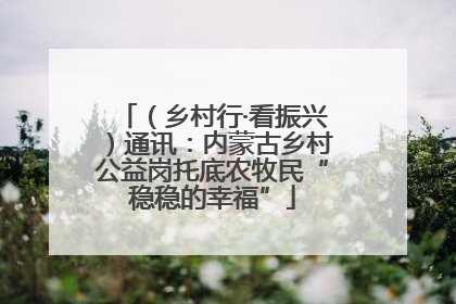 （乡村行·看振兴）通讯：内蒙古乡村公益岗托底农牧民“稳稳的幸福”