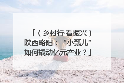 （乡村行·看振兴）陕西略阳：“小瓢儿”如何撬动亿元产业？