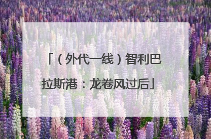 （外代一线）智利巴拉斯港：龙卷风过后